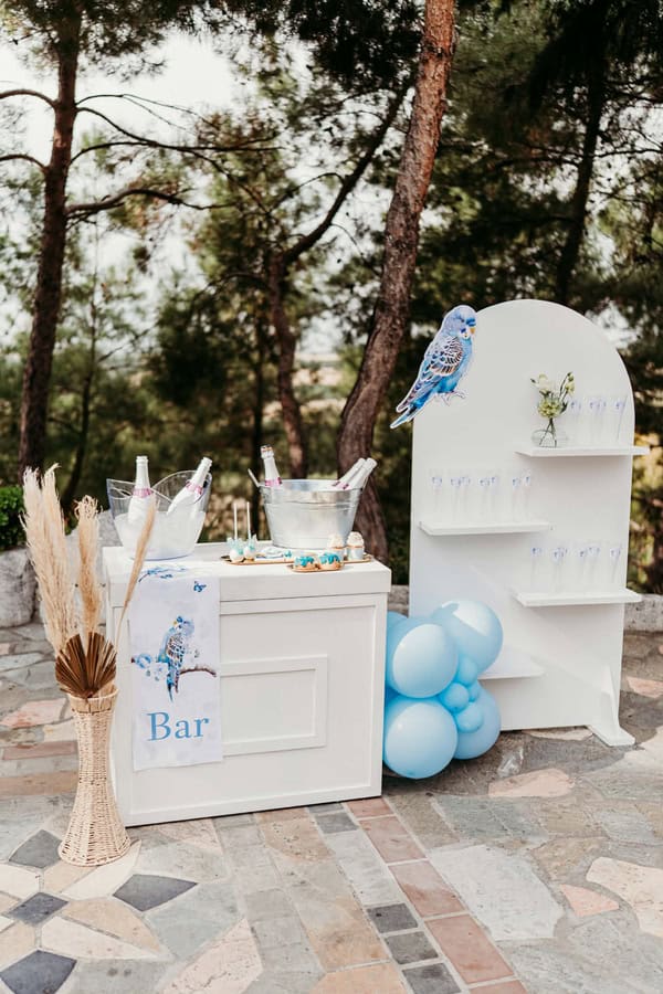 Ideas For Boys Baptism Parrot Theme Blue