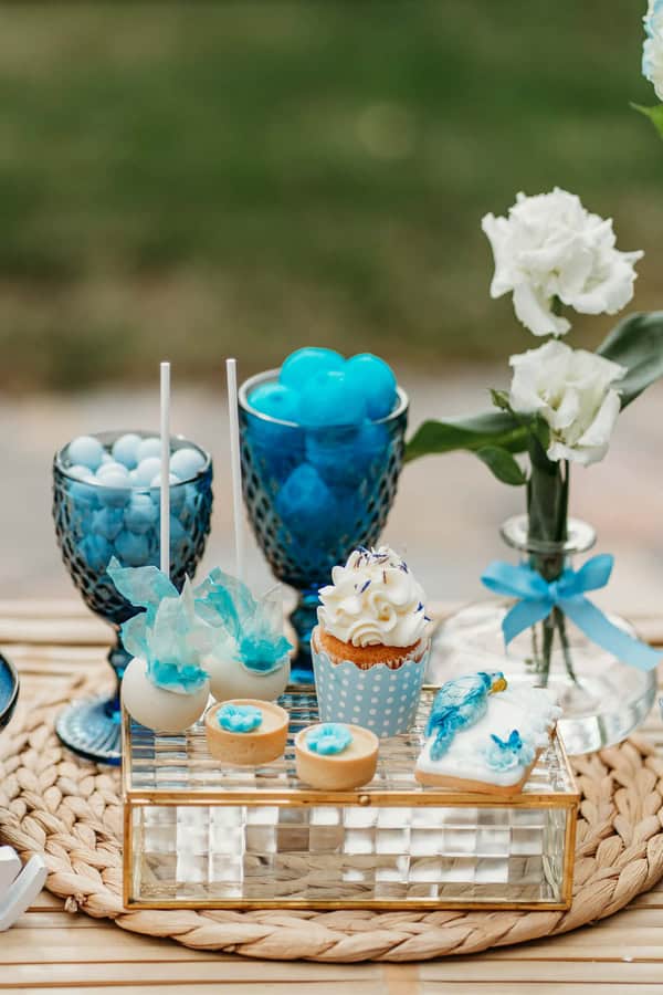 Ideas For Boys Baptism Parrot Theme Blue