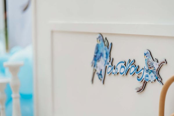 Ideas For Boys Baptism Parrot Theme Blue