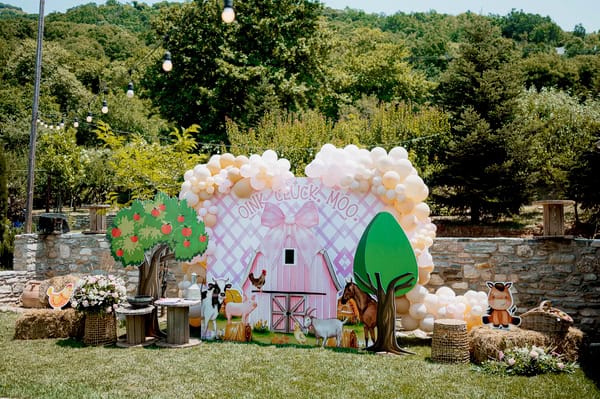 Ideas For Rustic Girl Farm Themed Baptism
