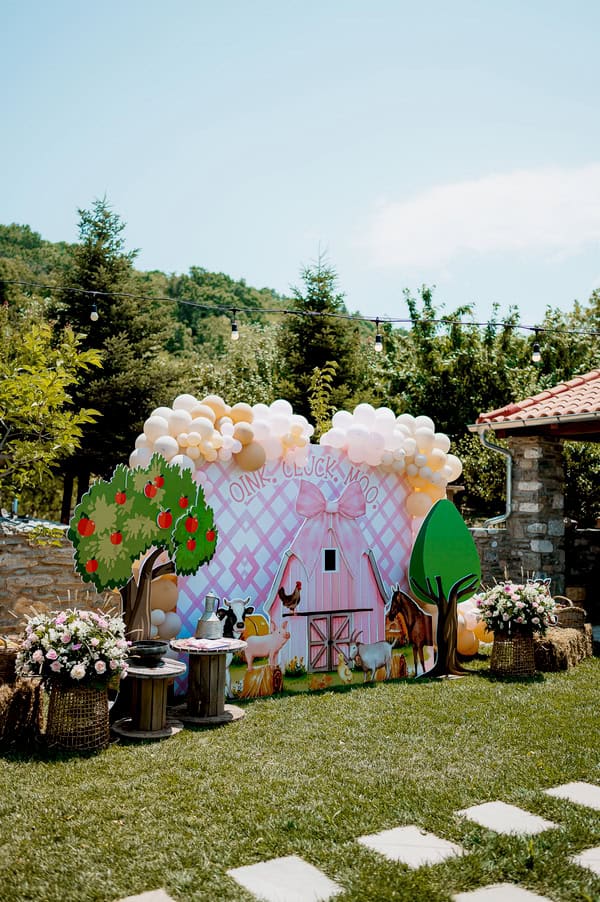 Ideas For Rustic Girl Farm Themed Baptism