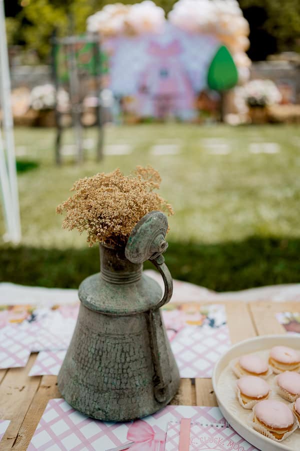 Ideas For Rustic Girl Farm Themed Baptism