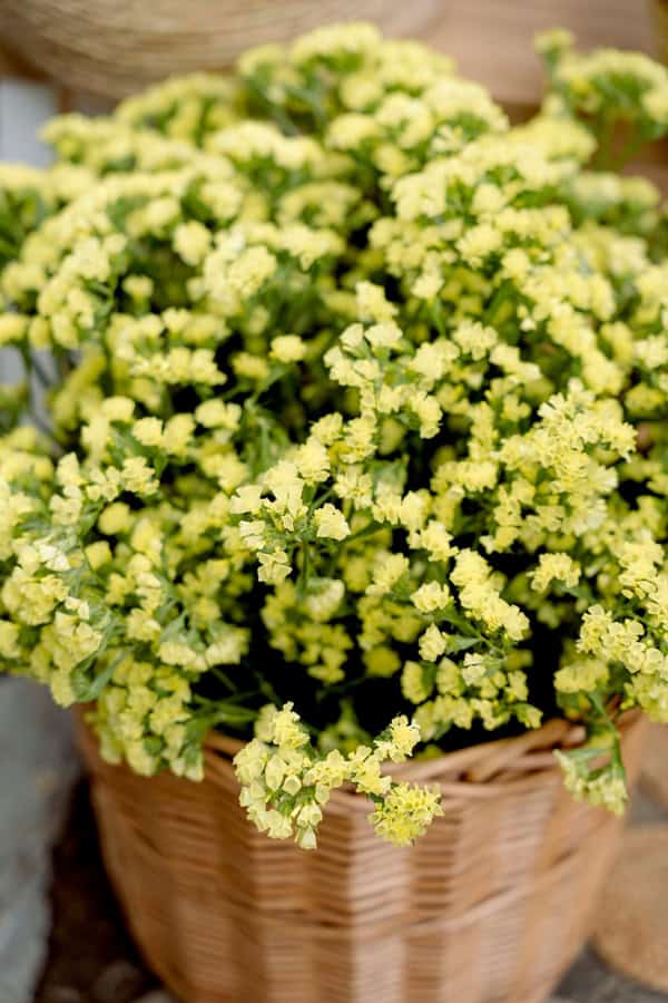 The Most Beautiful Decorative Baptism Ideas Winnie The Pooh