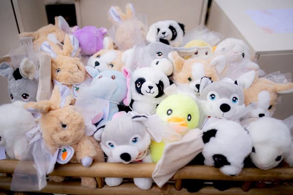 Ideas For Boho Baptism Adopt A Stuffed Animal Pastel Colors