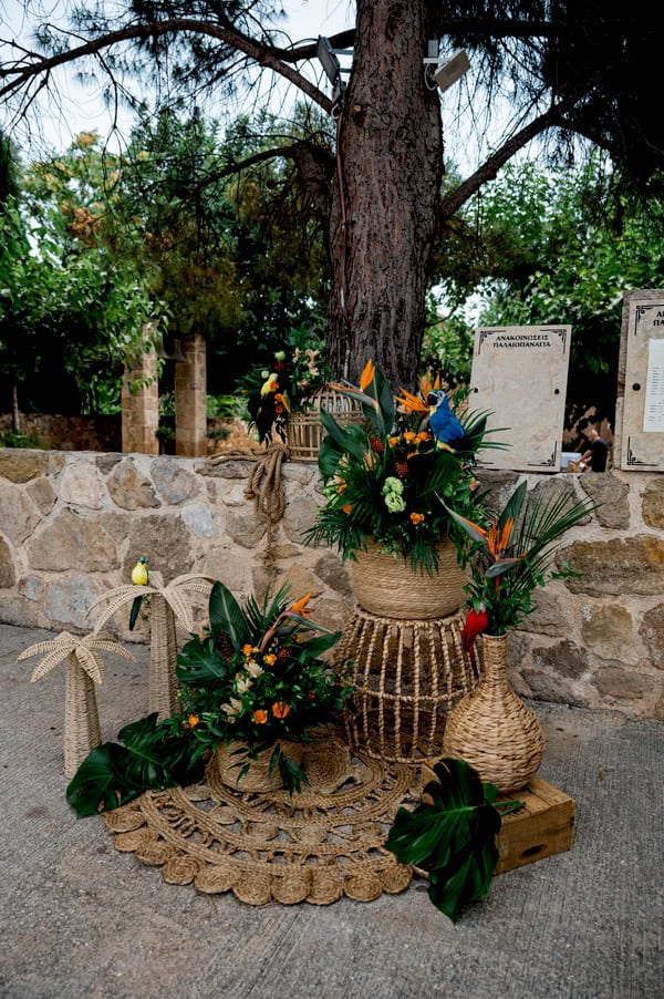 Beautiful Boy Baptism Tropical Theme Exotic Decoration