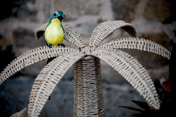 Beautiful Boy Baptism Tropical Theme Exotic Decoration