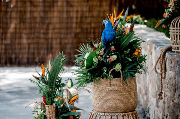 Beautiful Boy Baptism Tropical Theme Exotic Decoration