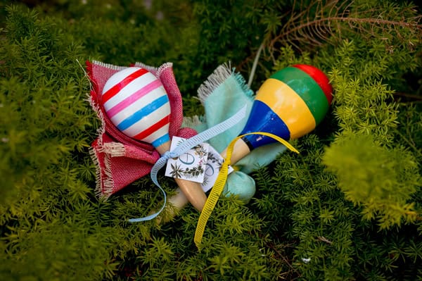 Beautiful Boy Baptism Tropical Theme Exotic Decoration