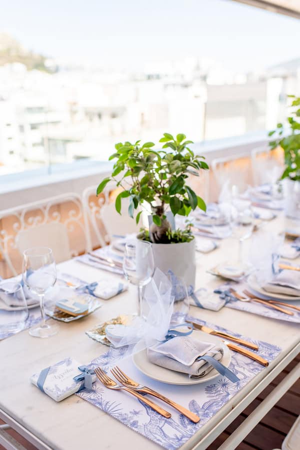 Boy Baptism Safari Toile De Jouy Ideas