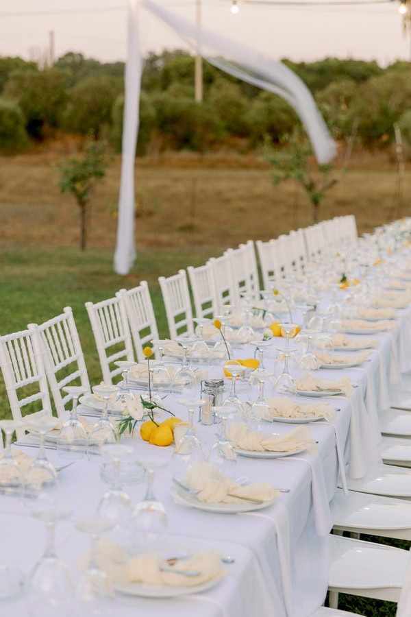Rustic Boho Baptism Decoration Herbs Lemons