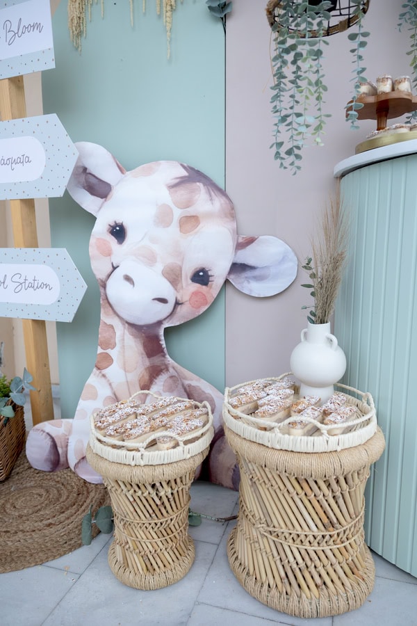 Baby Safari Baptism Animals Details