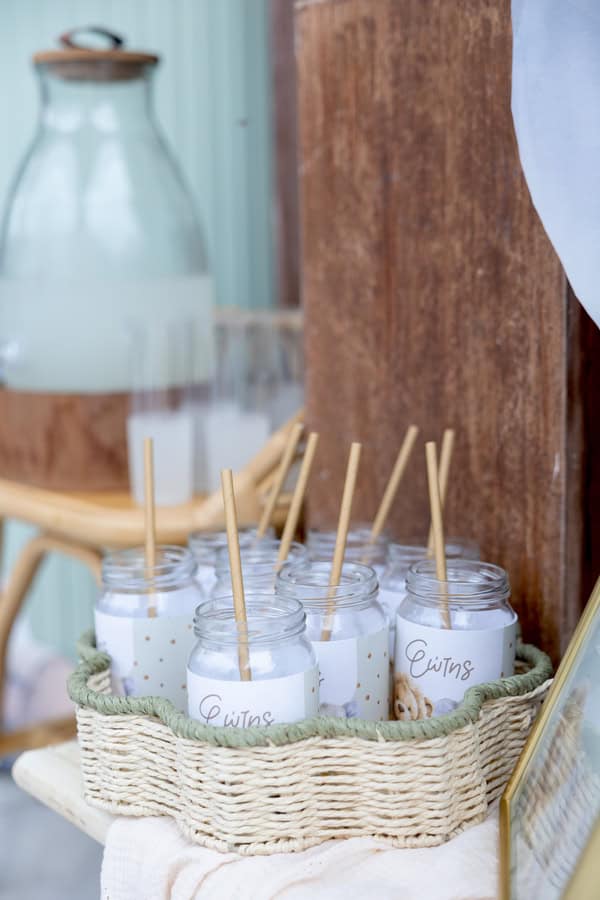 Baby Safari Baptism Animals Details
