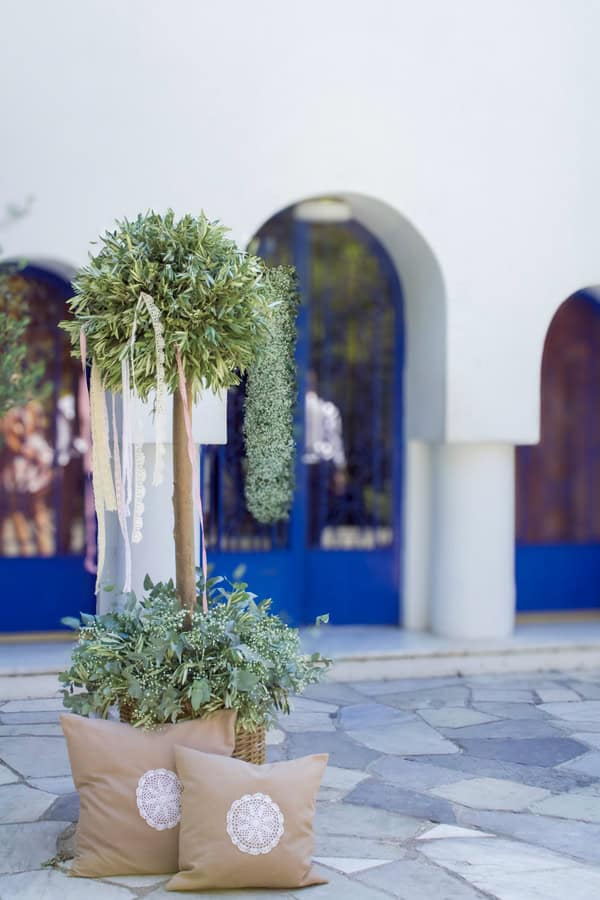 Lovely Rustic Chic Baptism Decoration Olive Trees Babys Breath