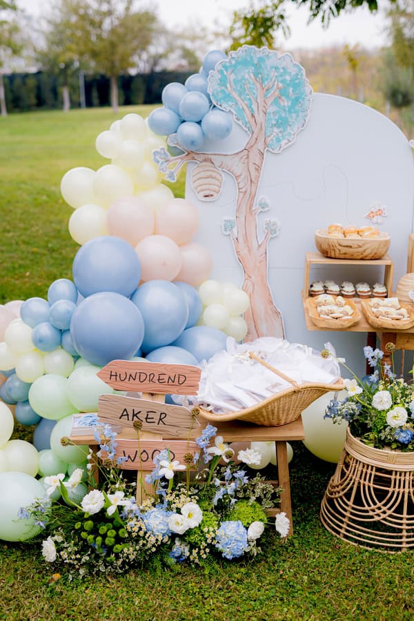 Rustic Chic Winnie The Pooh Baptism Ideas