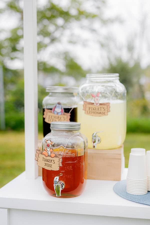 Rustic Chic Winnie The Pooh Baptism Ideas