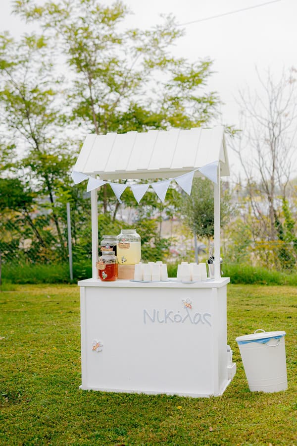 Rustic Chic Winnie The Pooh Baptism Ideas
