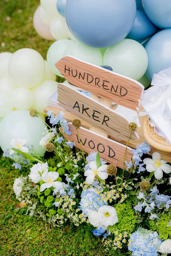 Rustic Chic Winnie The Pooh Baptism Ideas