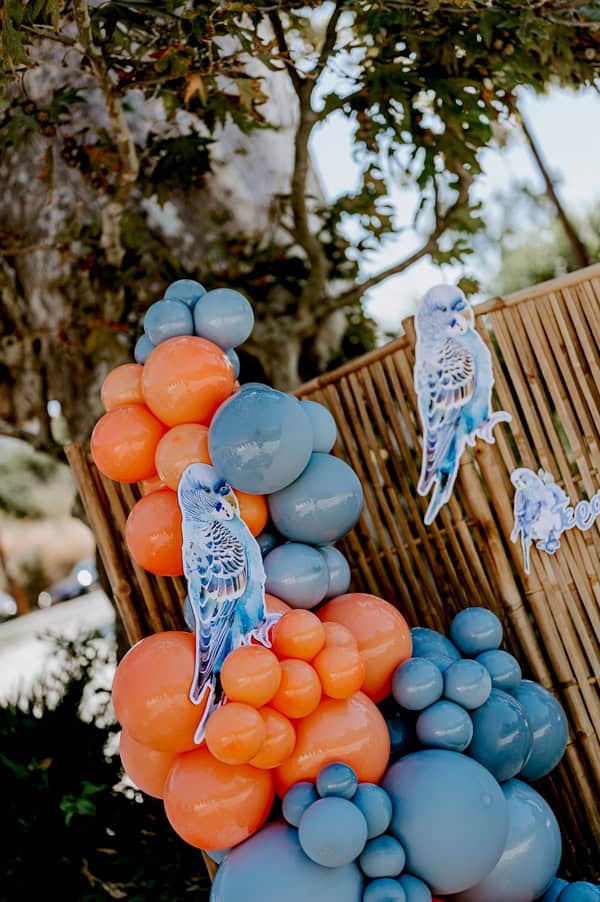 Most Beautiful Baby Boy Baptism Decoration Ideas With Exotic Parrots Theme
