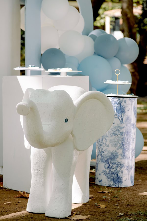 Chic Dior Safari Baptism Decoration Inspiration