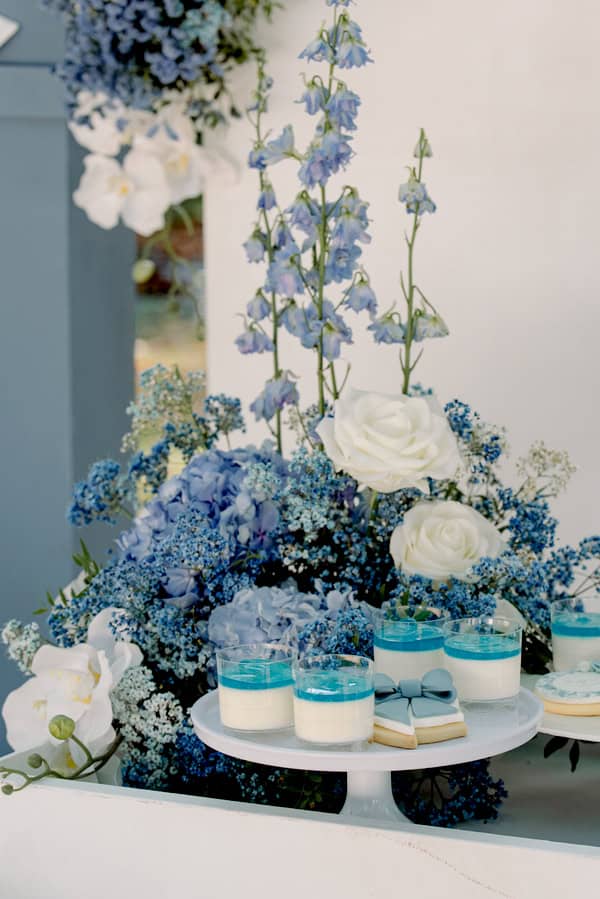 Chic Dior Safari Baptism Decoration Inspiration