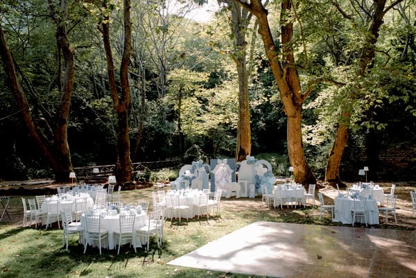 Chic Dior Safari Baptism Decoration Inspiration